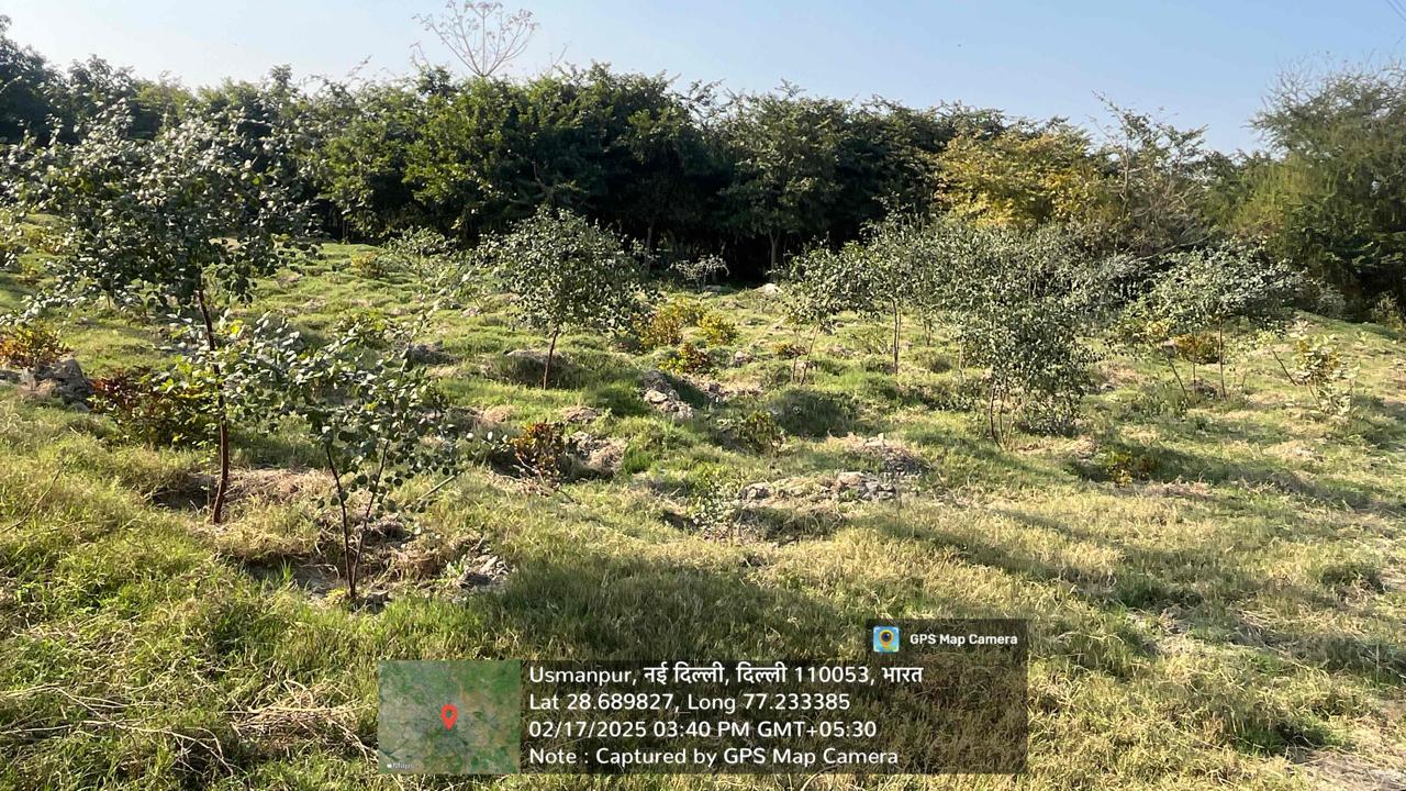 Compensatory Afforestation